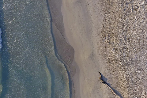 Film mit Strand von oben slow motion frau läuft durchs Bild